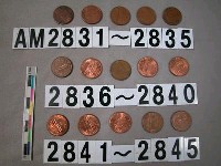 藏品(美國1分硬幣)的圖片